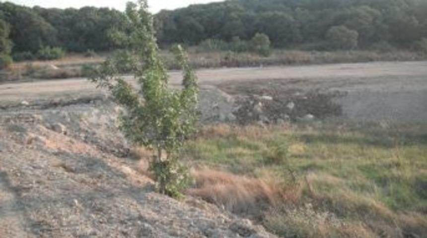 BBP&rsquo;li Mustafa Aydın&rsquo;dan yeşil alan tahribine tepki