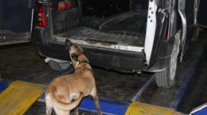 Narkotik k&ouml;peğinden başarılı operasyon