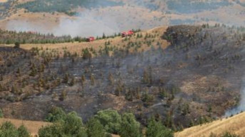 Eskişehir'de orman yangını b&uuml;y&uuml;meden s&ouml;nd&uuml;r&uuml;ld&uuml;