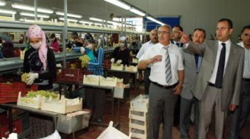 Denizli Valisi Demir, &Ccedil;al ve Bekilli'de incelemelerde bulundu