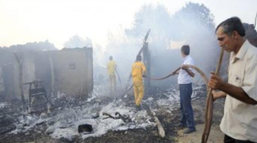 &Ccedil;anakkale&rsquo;de de &ccedil;ıkan orman yangınında 15 ev yandı