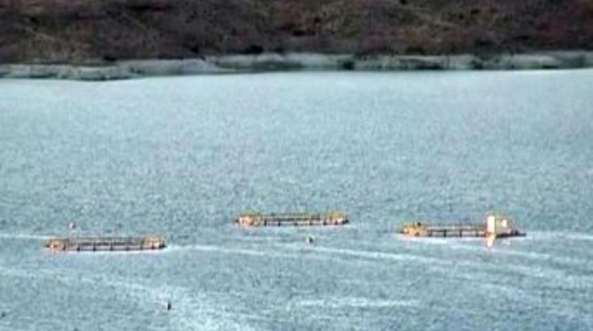 Denizi olmayan Kayseri’den her yıl 30 bin ton balık ihraç ediliyor