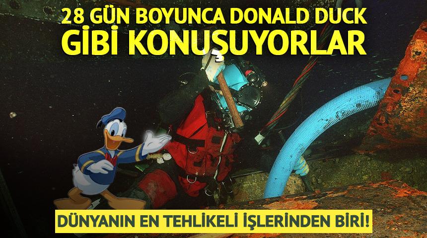 D&uuml;nyanın en tehlikeli işlerinden biri! 28 g&uuml;n boyunca Donald Duck gibi konuşuyorlar