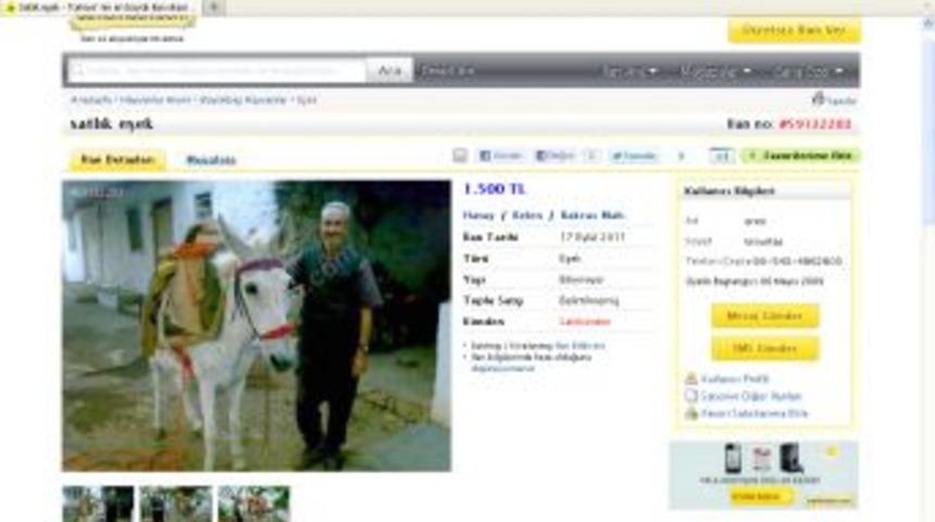 Eşekler de sanal aleme girdi: Az yakar, &ccedil;ok ka&ccedil;ar, zıpkın gibi!