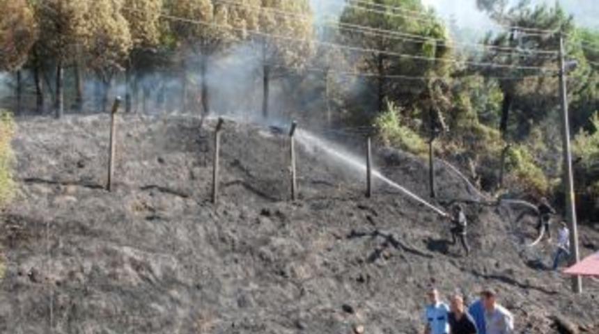 "Orman yangınında en tehlikeli d&ouml;nem, vatandaşlar dikkatli olmalı"