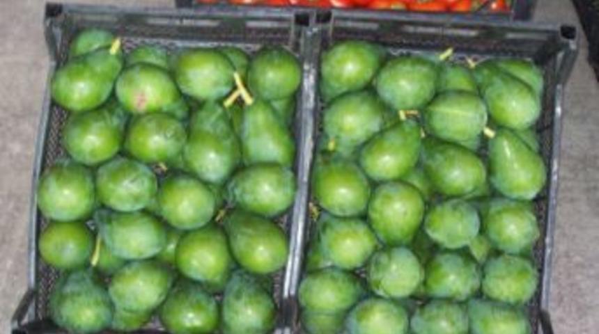 Avokado &uuml;reticilerine erken hasat uyarısı