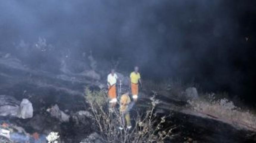 İki hektar otluk alan yandı