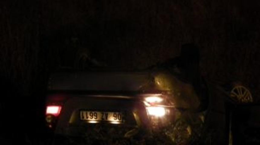 Alkoll&uuml; s&uuml;r&uuml;c&uuml; şarampole yuvarlandı