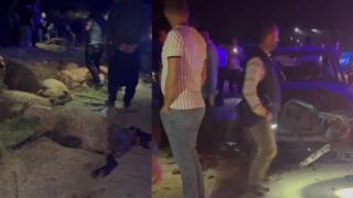 Son dakika: Gaziantep'te otomobil koyun s&uuml;r&uuml;s&uuml;ne daldı