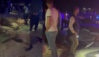 Gaziantep'te otomobil koyun s&uuml;r&uuml;s&uuml;ne daldı