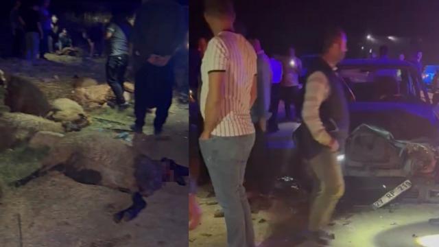 Gaziantep'te otomobil koyun sürüsüne daldı