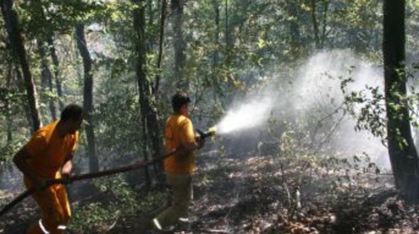 Zonguldak'ta 1 hektar ormanlık alan yandı