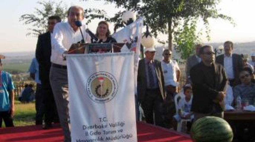 Diyarbakır'da Karpuz Festivali yapıldı