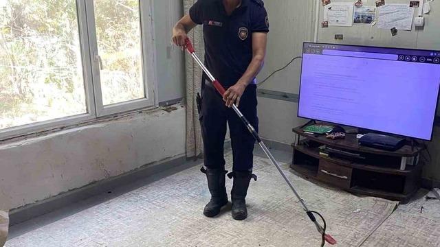 Defne’de eve giren yılanı itfaiye yakaladı
