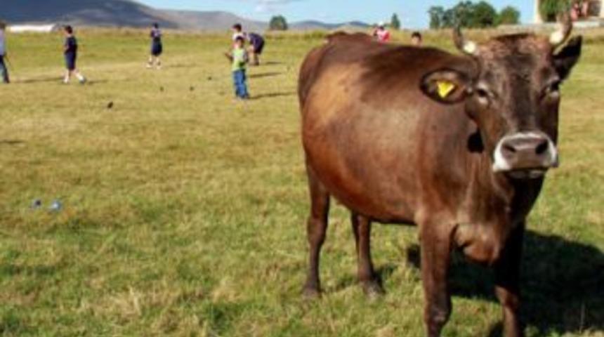 Ardahanlı golf&ccedil;&uuml;ler T&uuml;rkiye Şampiyonasında