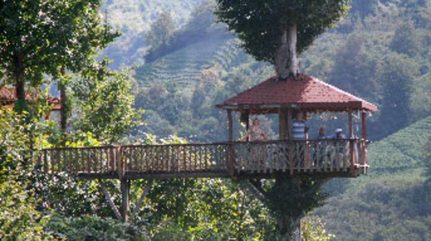 Manzara için kameriyeyi ağaca çıkardı