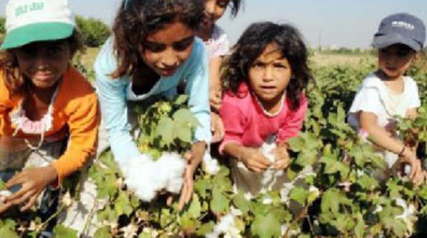 Tarlalar doldu, sınıflar boş kaldı