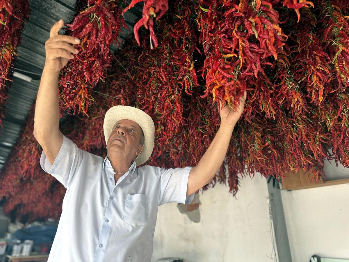 Tek tek ipe geçirip sarkıtıyorlar: Hepsi ciğere katmak için! 4