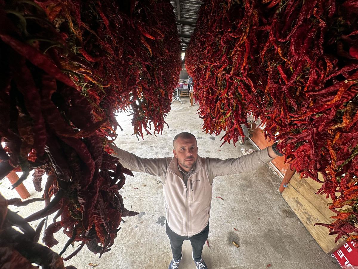 Tek tek ipe geçirip sarkıtıyorlar: Hepsi ciğere katmak için! 1