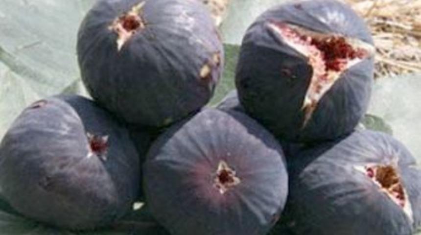 Ziraat odası başkanından fiyat tepkisi