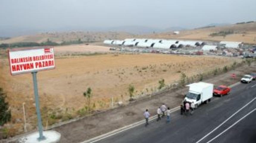 Ege ve Marmara b&ouml;lgelerinin en b&uuml;y&uuml;k hayvan pazarı Balıkesir'de a&ccedil;ıldı