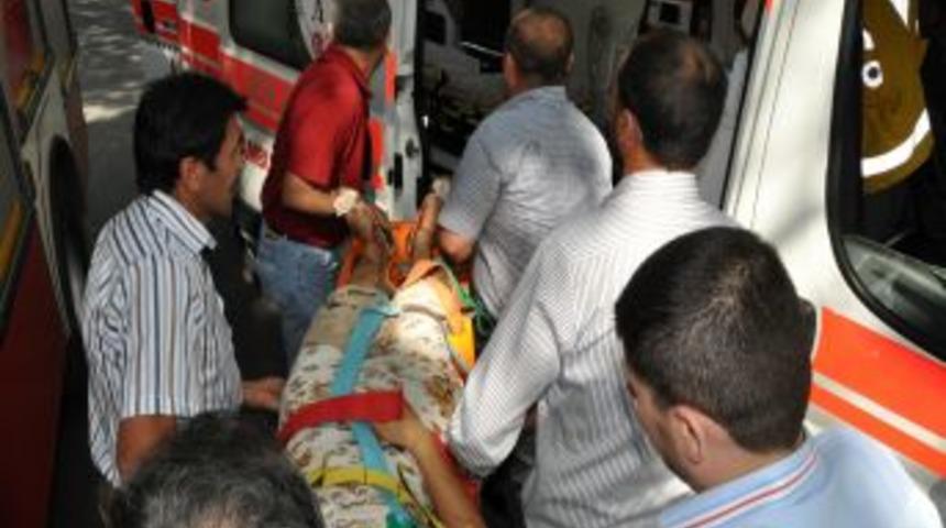 Ankara&rsquo;daki patlamada kargalar da telef oldu