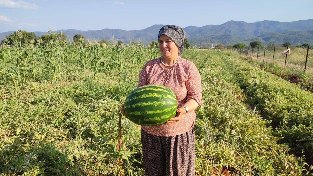 Adı Pijamalı , tohumu atadan kalma! 2 dönümden 10 ton ürün aldı 1