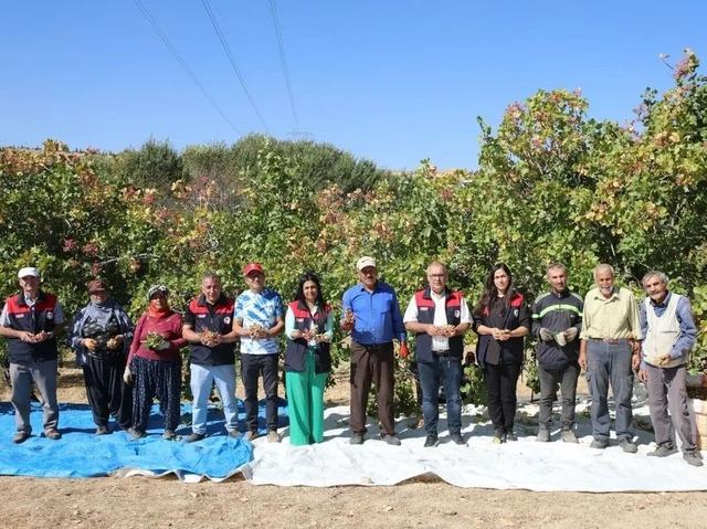 Elazığ&rsquo;da 38 ton Antep fıstığı rekoltesi bekleniyor 1