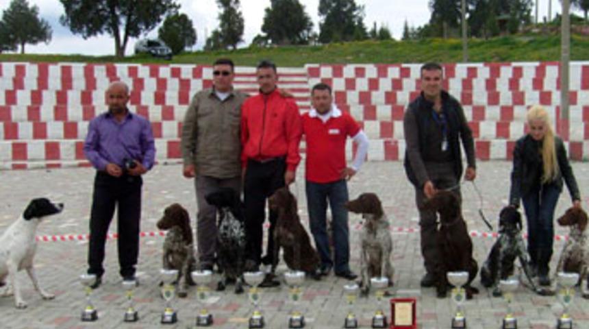 Tavşanlı'da ''k&ouml;pek g&uuml;zellik yarışması