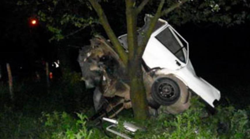 Yarısı ağa&ccedil;ta kaldı