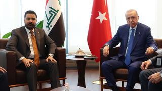 Erdoğan-Zeydi g&ouml;r&uuml;şmesinden Sincar kararı
