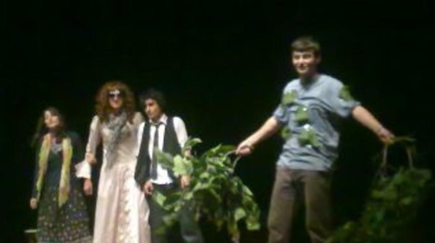 Batman Fen Lisesi'nden kültür şenliği