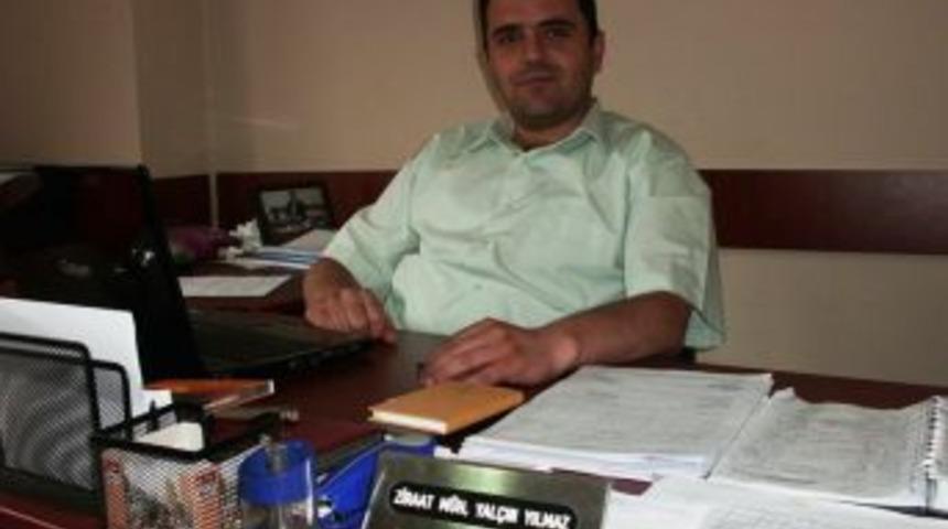 Fındık strese girdi