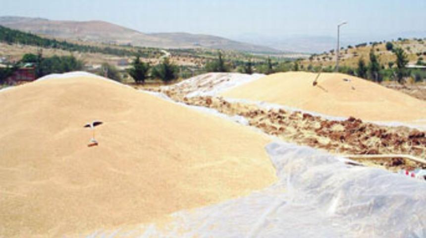 Hububat alımı tamamlandı