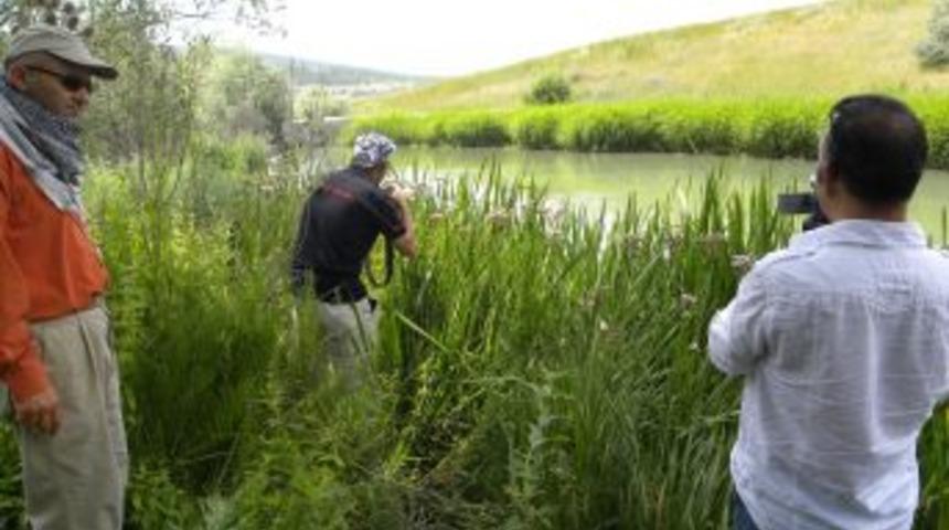 Zamantı Irmağı&rsquo;nda yeni bot safari ve rafting parkuru oluşturuluyor