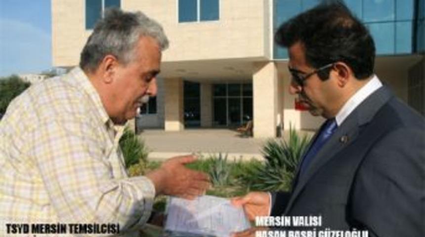 TSG. Stadı  yenileniyor...