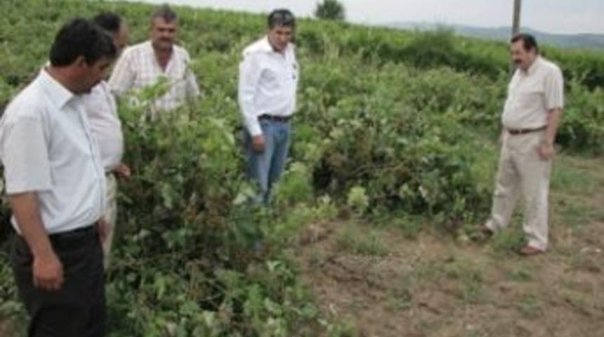 Dolu  Tarsus&rsquo;u vurdu...