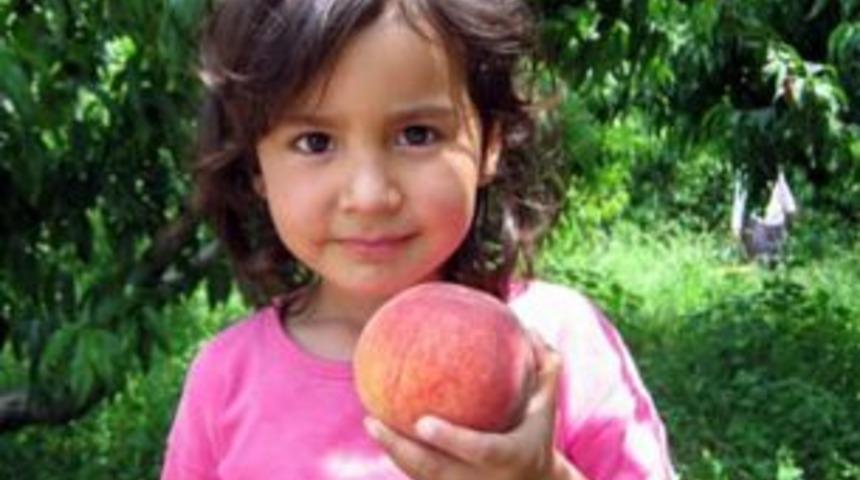 Şeftali Rusya pazarına girdi