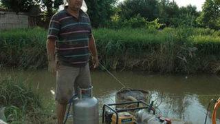 Farmville'den etkilenip çiftçi oldu