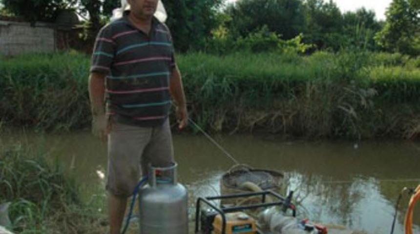 Farmville'den etkilenip çiftçi oldu