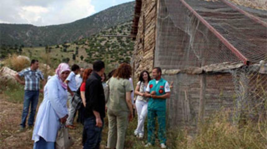 Yaban hayatı da koruma altında