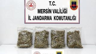 Uyuşturucu taciri 2 kilo 100 gram esrarla yakalandı
