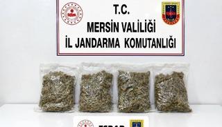 Uyuşturucu taciri 2 kilo 100 gram esrarla yakalandı