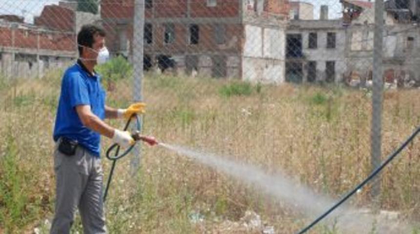 B&ouml;ceksavar timleri iş başında