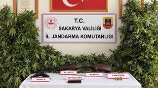 Jandarmadan 3 ilçede uyuşturucu operasyonu: 3 tutuklama