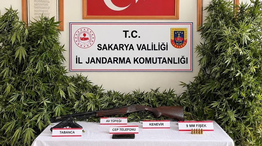 Jandarmadan 3 il&ccedil;ede uyuşturucu operasyonu: 3 tutuklama