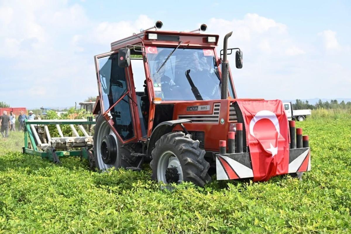 Osmaniye nin  fit fıstık  hedefi: 50 bin ton rekolteyle yeni katma değer 2