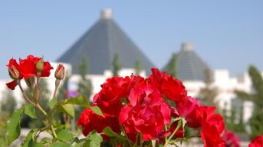 Konya'nin d&ouml;rt bir yanında g&uuml;ller a&ccedil;tı