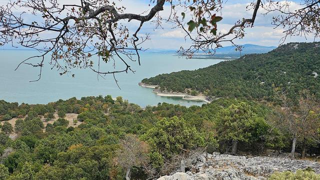 Türkiye'nin en tatlı suyu! Ziyaretçi akınına uğruyor