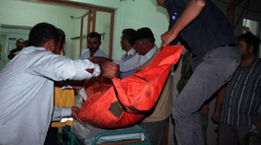 Otomobil u&ccedil;uruma devrildi, 2 kardeş &ouml;ld&uuml;